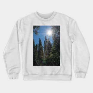 Sun Rays Over the Forest by Debra Martz Crewneck Sweatshirt